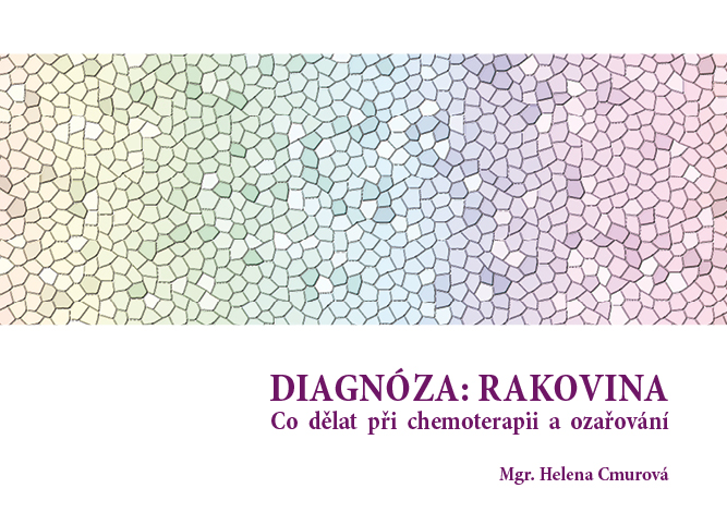 titulní strana.jpg